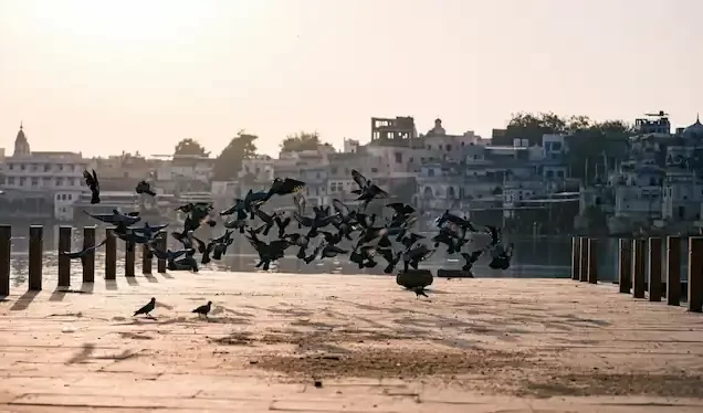 Pushkar Tour Package