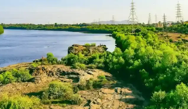 Daman Island Tour Package