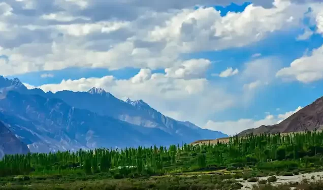 Leh Ladakh Tour Package