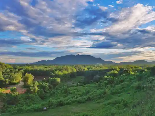 Assam Couple Tour Package
