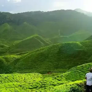 Assam Holiday Package