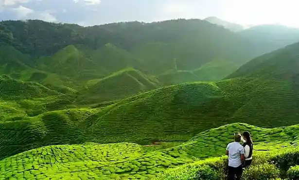 Assam Holiday Package