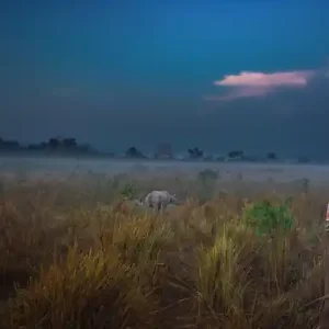 Assam Guwahati Tour