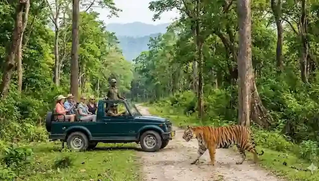 Assam Wildlife Tour Packages