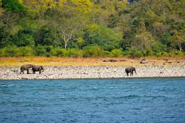 Manas National Park From Guwahati