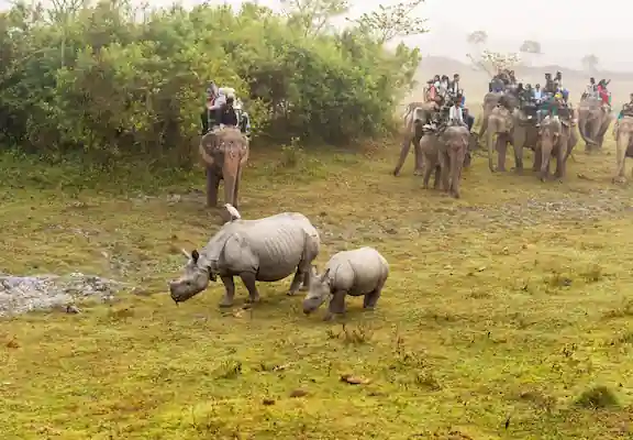 Guwahati Tour Packages