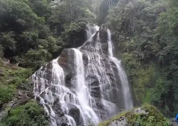 Pelling Tour Package