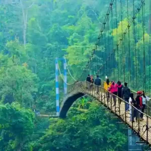 Assam Tourism Packages from Guwahati