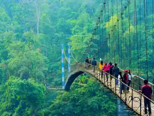 Assam Tourism Packages from Guwahati