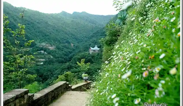 Nagaland Tour Package