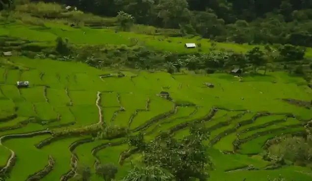 Nagaland Tour Package From Delhi