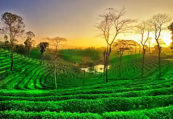 Guwahati Shillong Tour Package