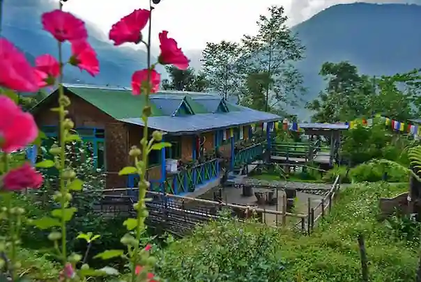 North Sikkim Tour Packages from Gangtok