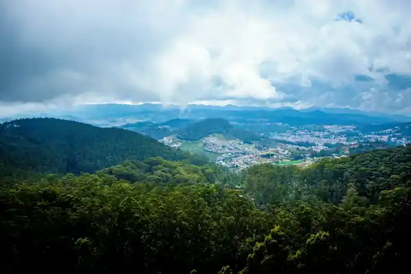 Ooty Tour Package