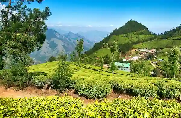 Family Trip to North East India