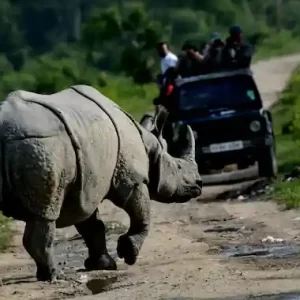 Assam Tour Package