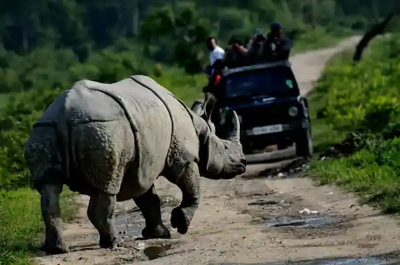 Assam Tour Package