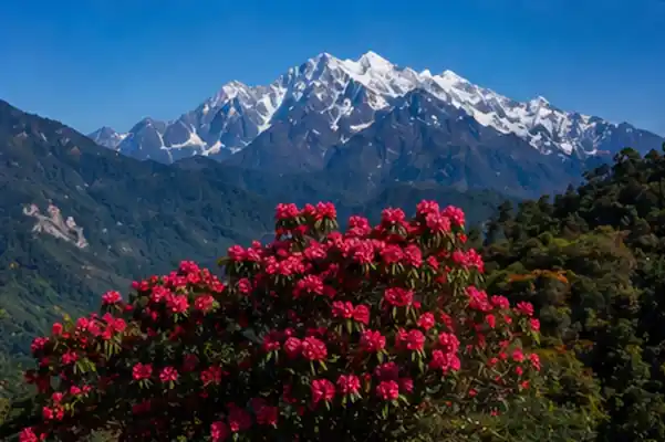 Sikkim Holiday Packages