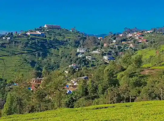 Ooty Tour Package