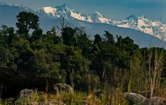 Arunachal Pradesh Tour Packages from Gujarat