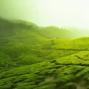 Kerala