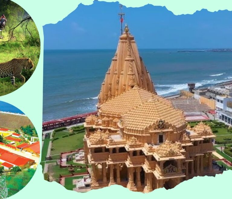 Gujarat Tour