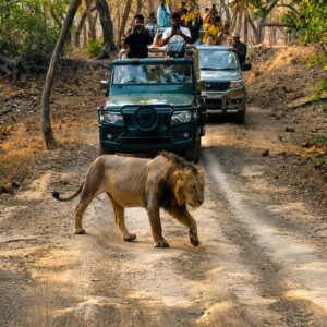 Guajrat Tour Packages