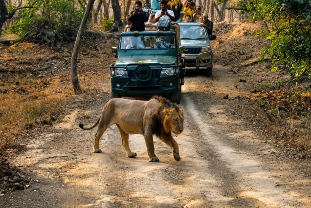Guajrat Tour Packages