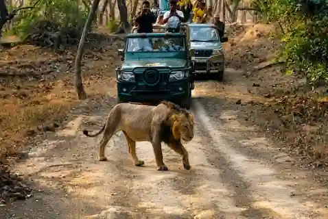 Guajrat Tour Packages
